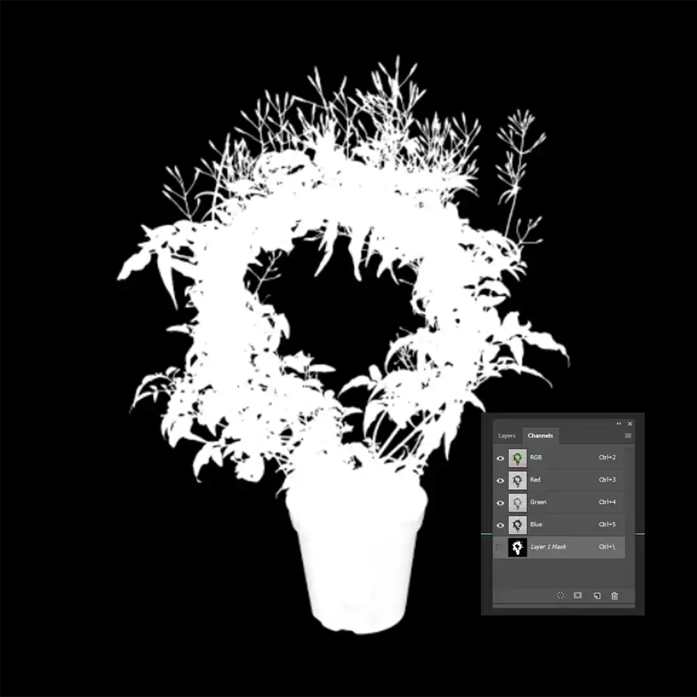 Alpha Channel Masking After