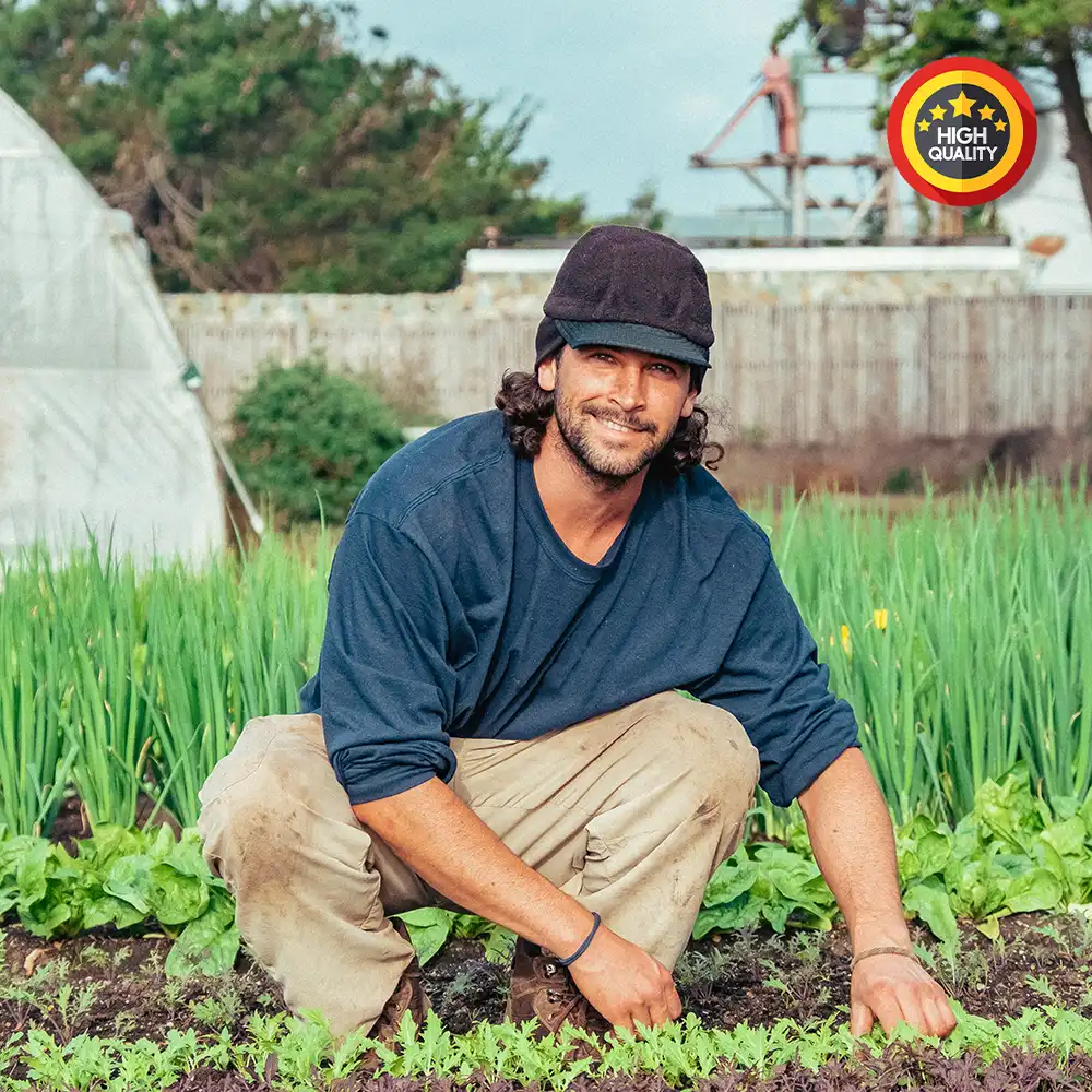 Background Blurring Before