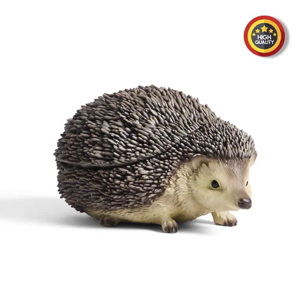 Product Photo Retouching After